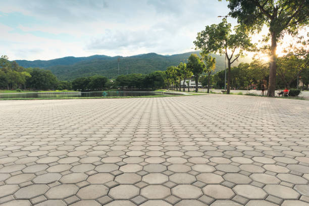 Best Driveway Pavers Near Me  in Livonia, LA