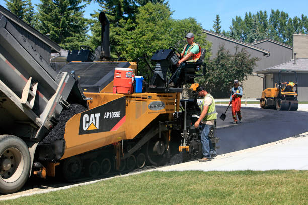 Best Local Driveway Pavers  in Livonia, LA